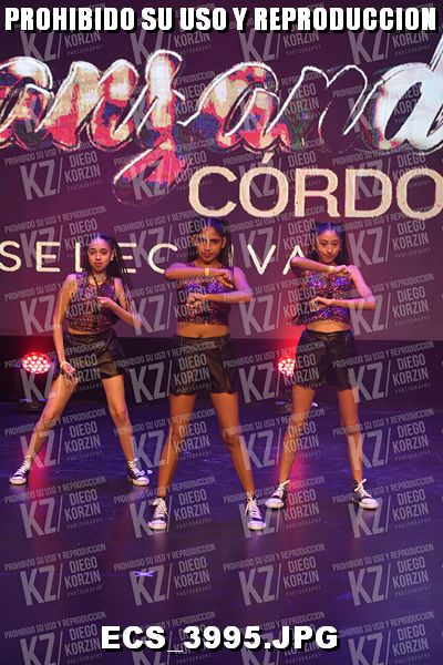 COREO 12