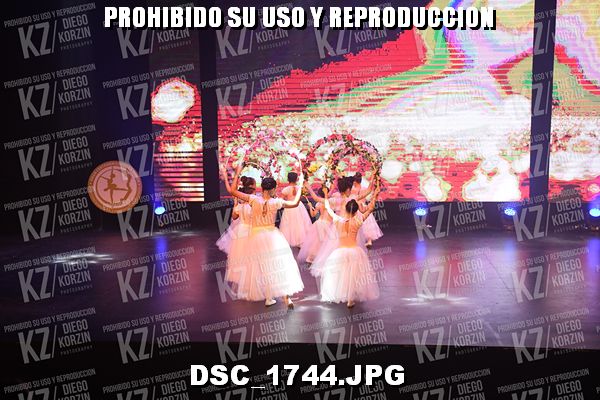 COREO 31