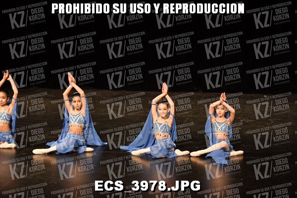 COREO 6