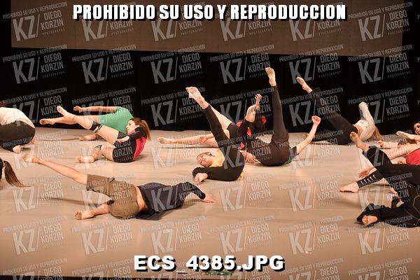 COREO 51