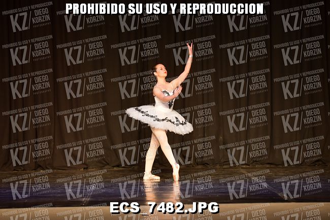 GRUPO C CLASICO 303