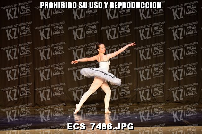 GRUPO C CLASICO 303