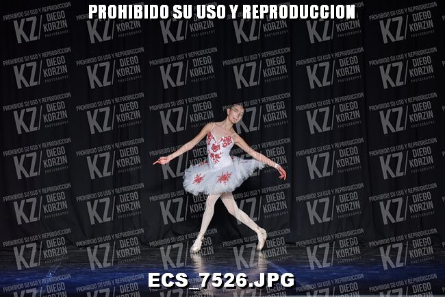 GRUPO C CLASICO 304