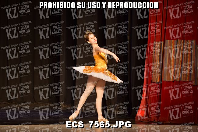 GRUPO C CLASICO 305