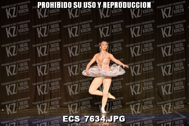 GRUPO C CLASICO 306