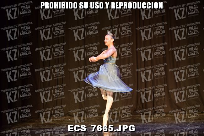 GRUPO C CLASICO 307