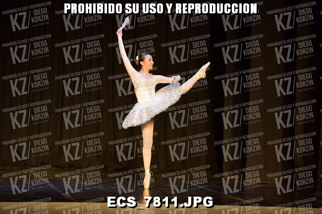 GRUPO C CLASICO 309
