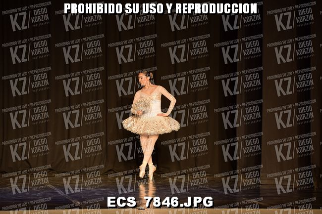 GRUPO C CLASICO 309