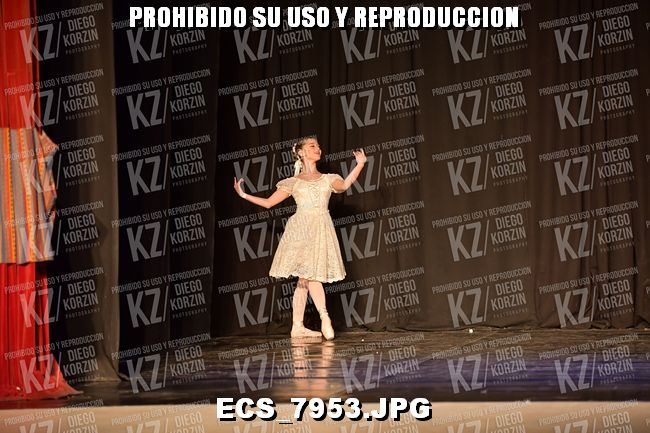 GRUPO C CLASICO 311