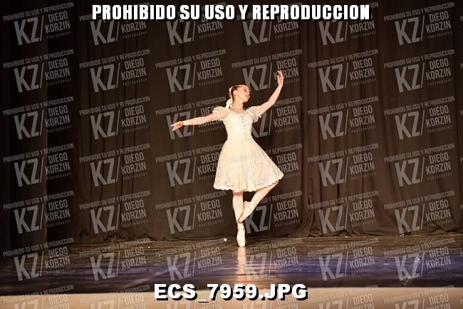 GRUPO C CLASICO 311
