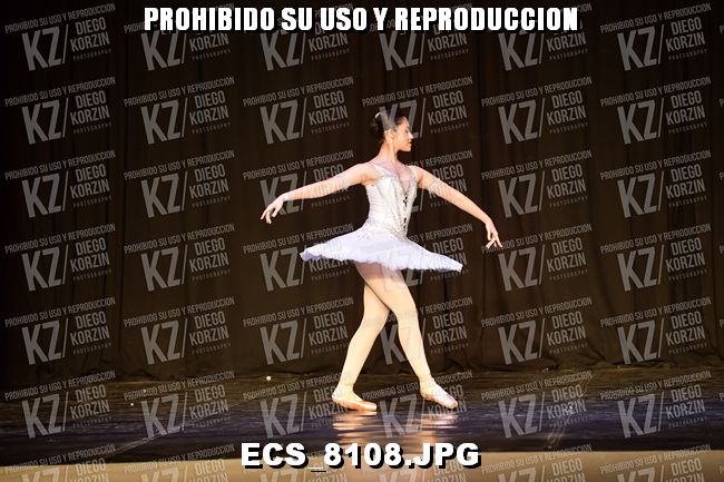 GRUPO C CLASICO 313