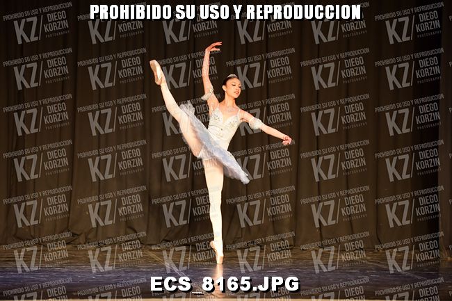 GRUPO C CLASICO 314