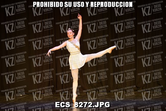 GRUPO C CLASICO 317