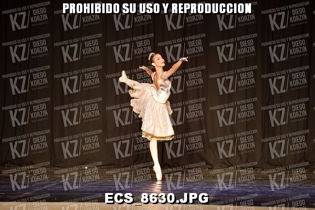 GRUPO C CLASICO 322