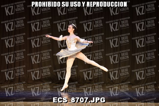 GRUPO C CLASICO 323