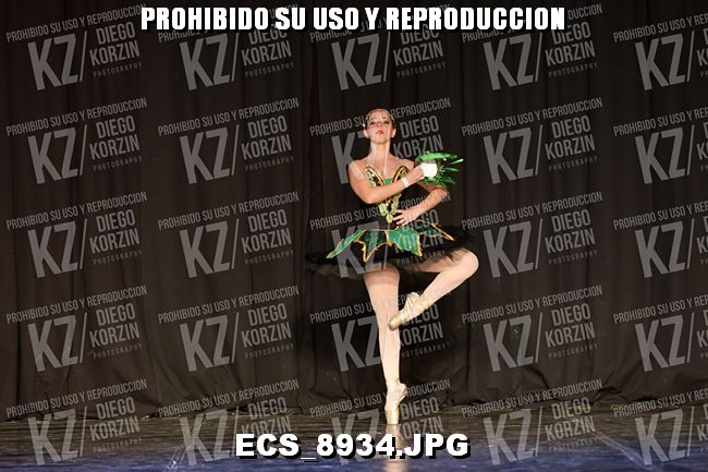 GRUPO C CLASICO 328