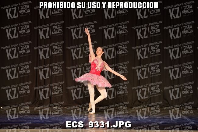GRUPO C CLASICO 333