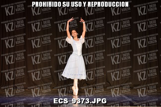 GRUPO C CLASICO 334