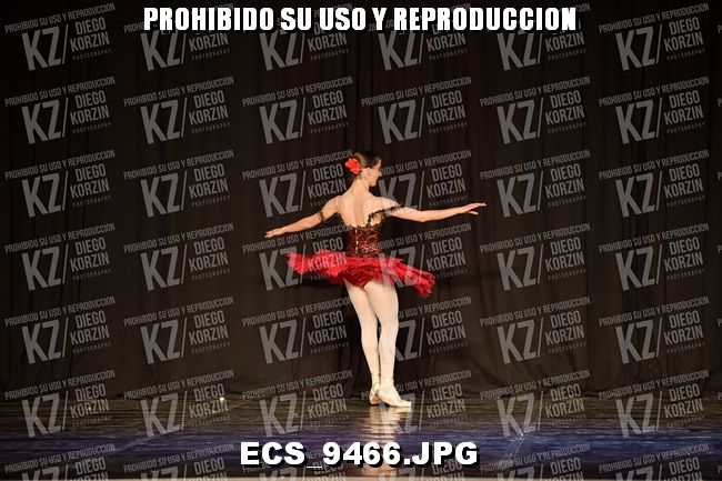 GRUPO C CLASICO 335
