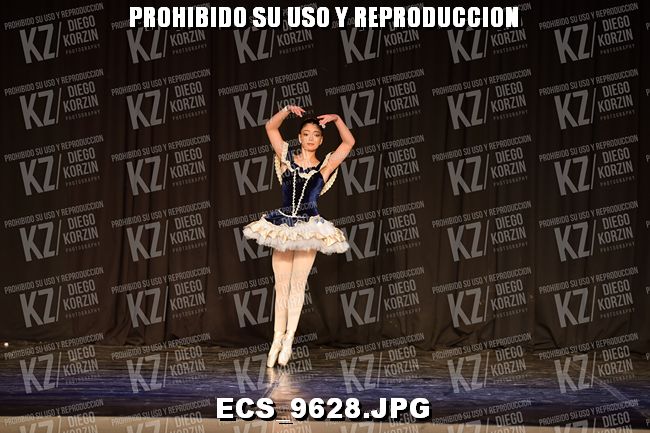GRUPO C CLASICO 338