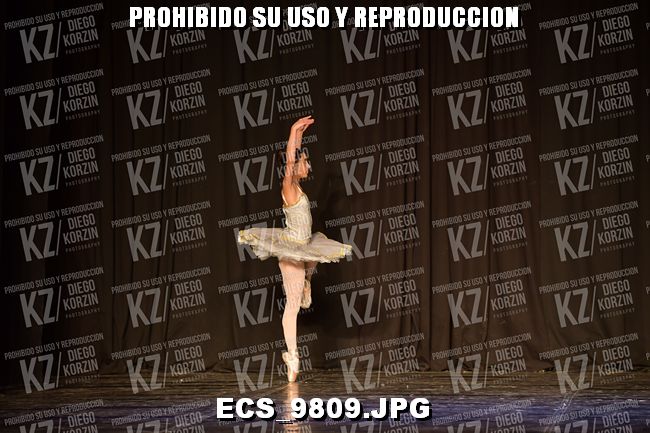 GRUPO C CLASICO 341