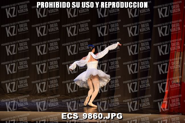 GRUPO C CLASICO 342
