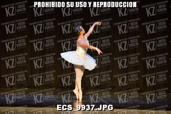 GRUPO C CLASICO 343