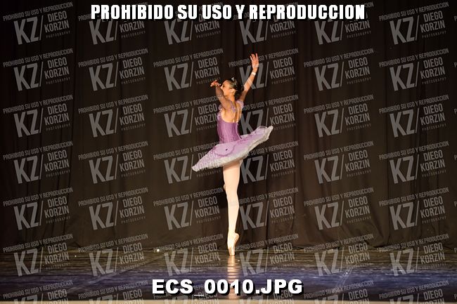 GRUPO C CLASICO 344