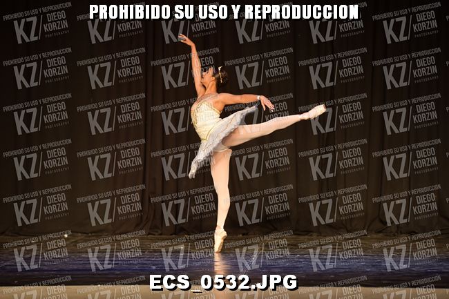 GRUPO C CLASICO 355