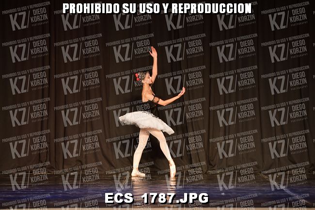 GRUPO B CLASICO 217