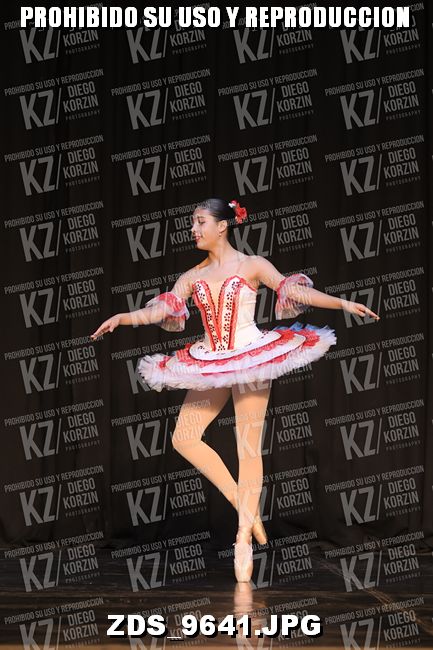 COMPETENCIA D3 COREO 101
