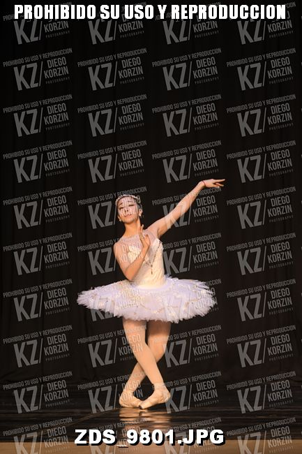 COMPETENCIA D3 COREO 103