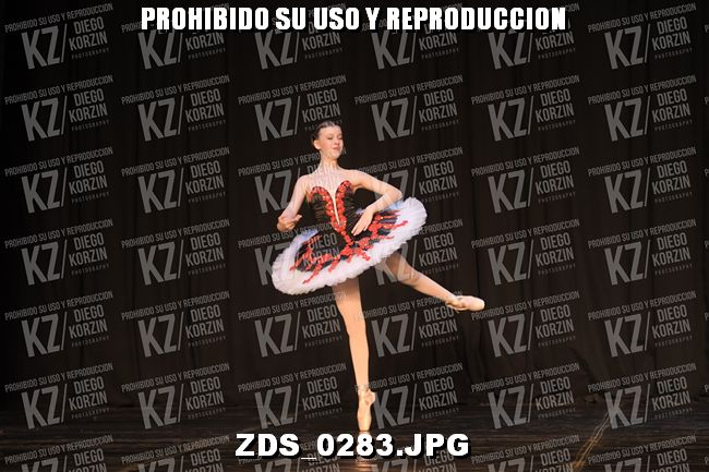 COMPETENCIA D3 COREO 110