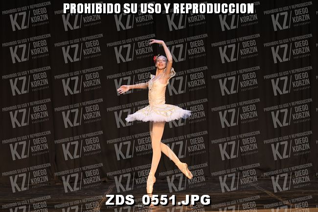 COMPETENCIA D3 COREO 114