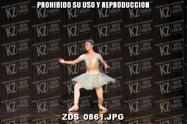 COMPETENCIA D3 COREO 118