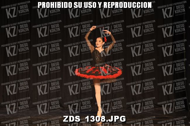 COMPETENCIA D3 COREO 126