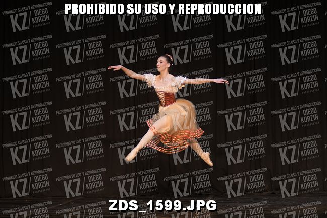 COMPETENCIA D3 COREO 131