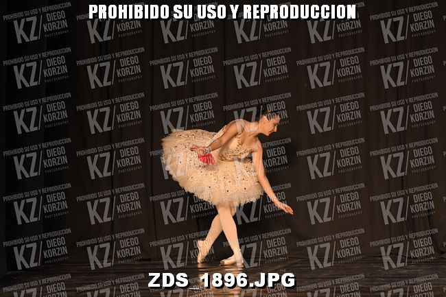 COMPETENCIA D3 COREO 136