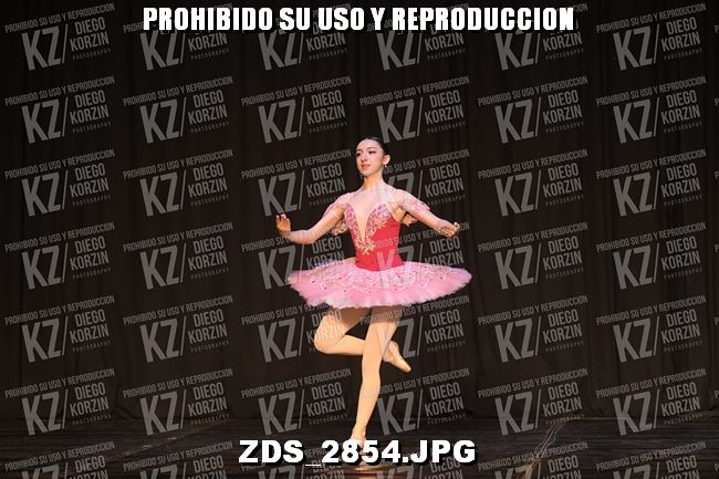 COMPETENCIA D3 COREO 154