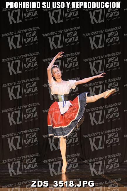 COMPETENCIA D3 COREO 161
