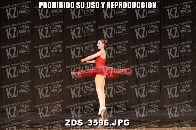 COMPETENCIA D3 COREO 163