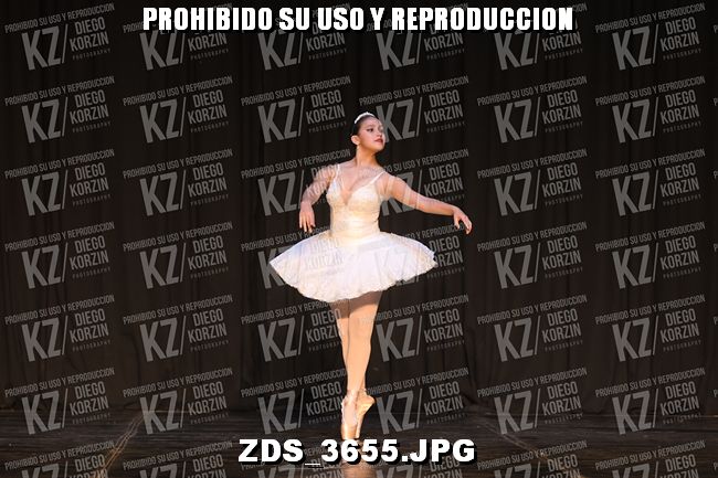 COMPETENCIA D3 COREO 165