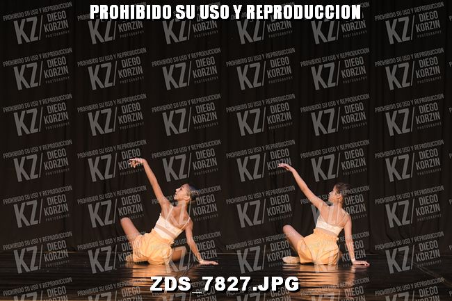 COMPETENCIA D3 COREO 213