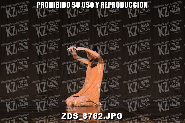 COMPETENCIA D3 COREO 227
