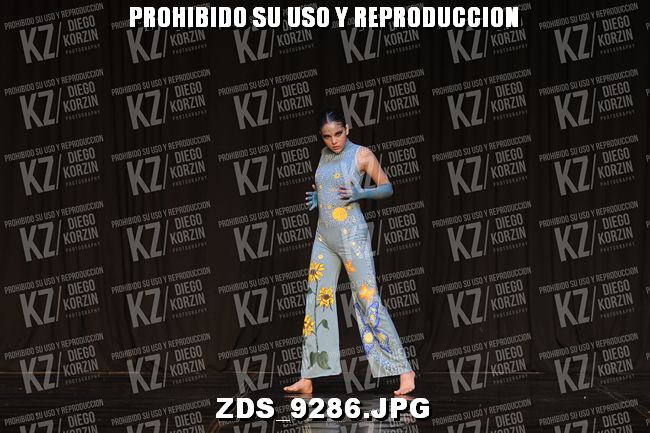 COMPETENCIA D3 COREO 237