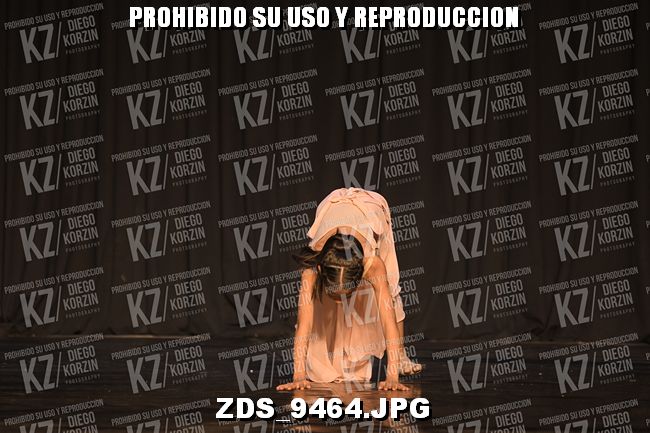 COMPETENCIA D3 COREO 239 BIS