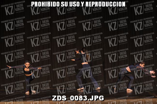 COMPETENCIA D3 COREO 246