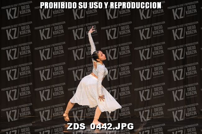 COMPETENCIA D3 COREO 250
