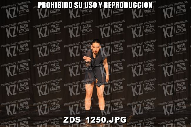 COMPETENCIA D3 COREO 260 BIS