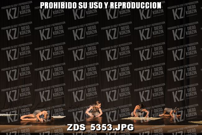 COMPETENCIA D4 COREO 247